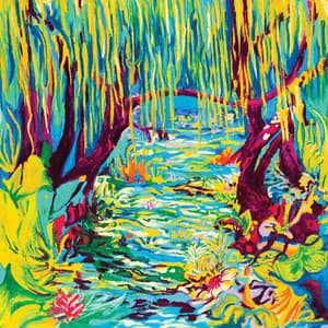 Jungle Jack - JUNGLE DES ILLUSIONS VOL 2